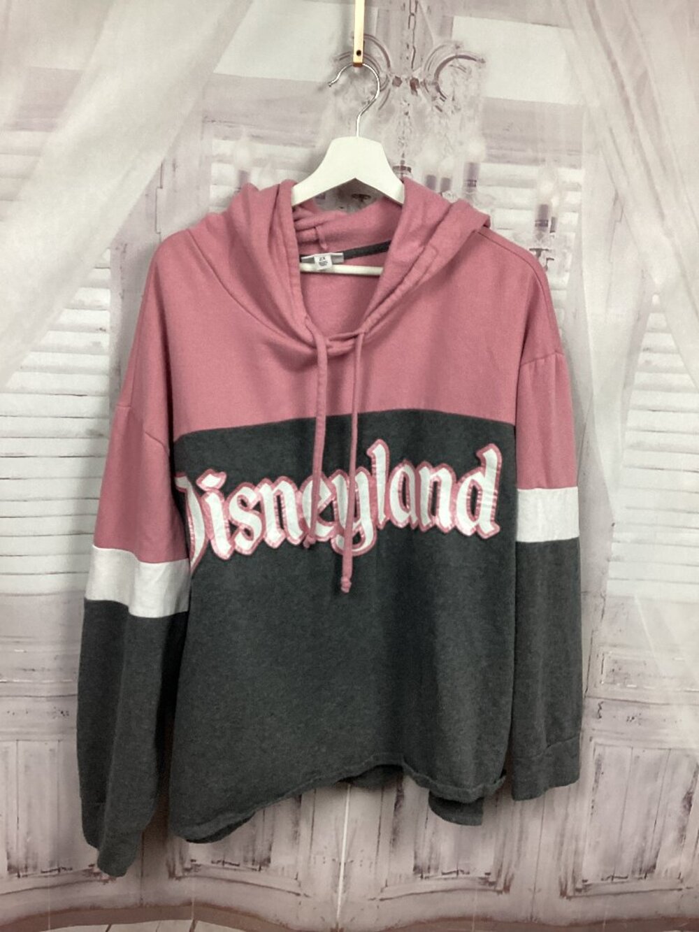 Disneyland Pink Hoodie Sweatshirt 2x